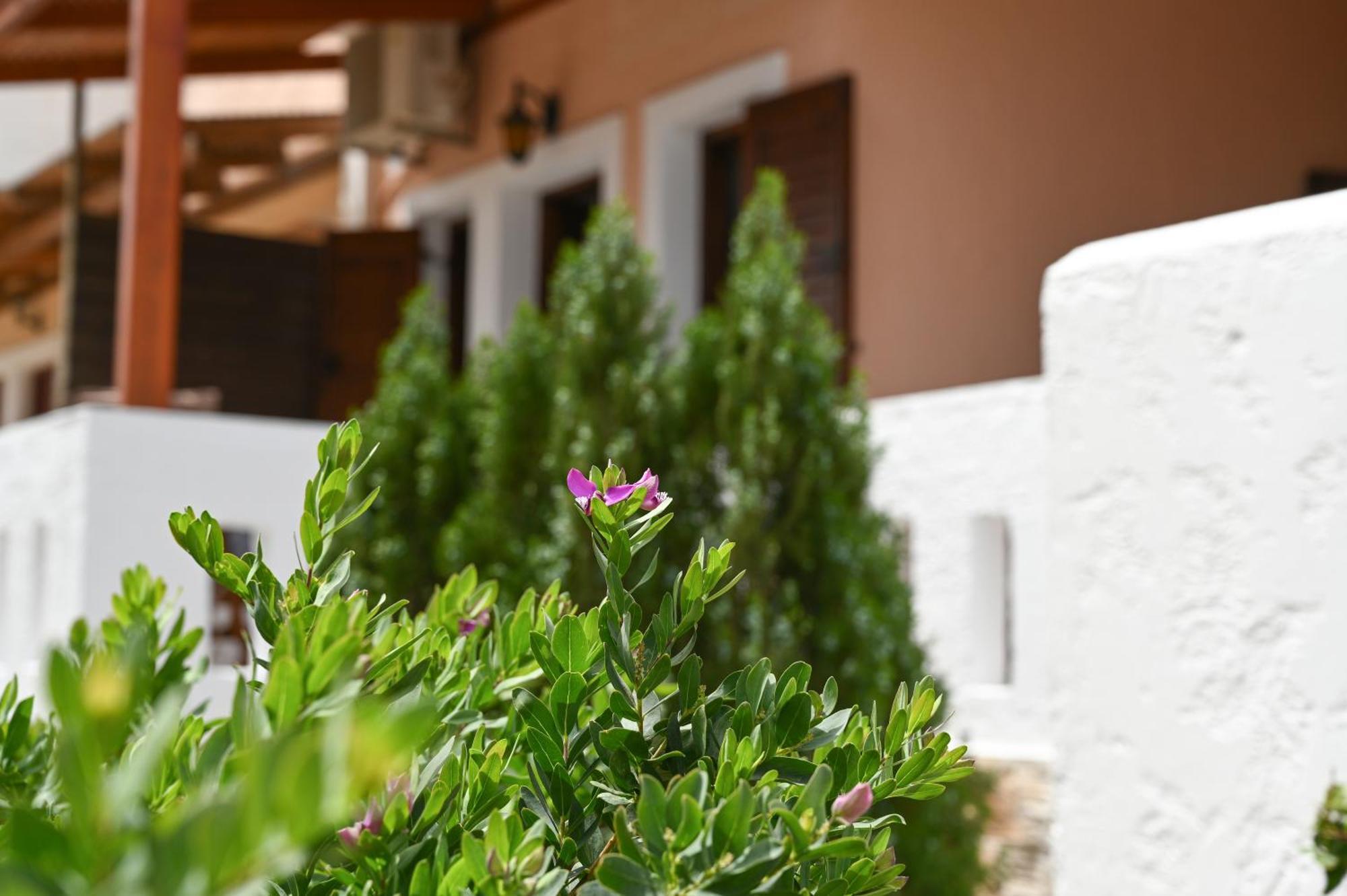 Garden House Xerokampos Xerokampos (Crete) Exterior foto